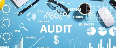 VAPT audit services